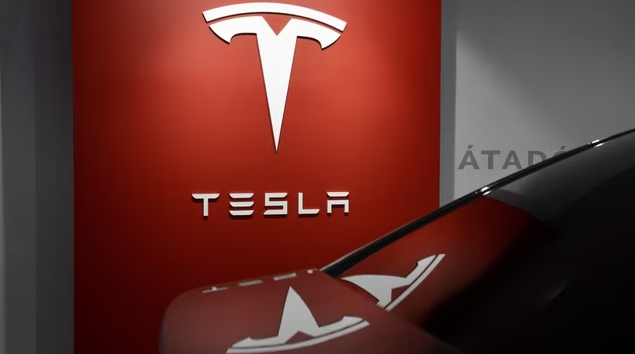La crisis ecológica global con sede en México que Tesla podría desatar