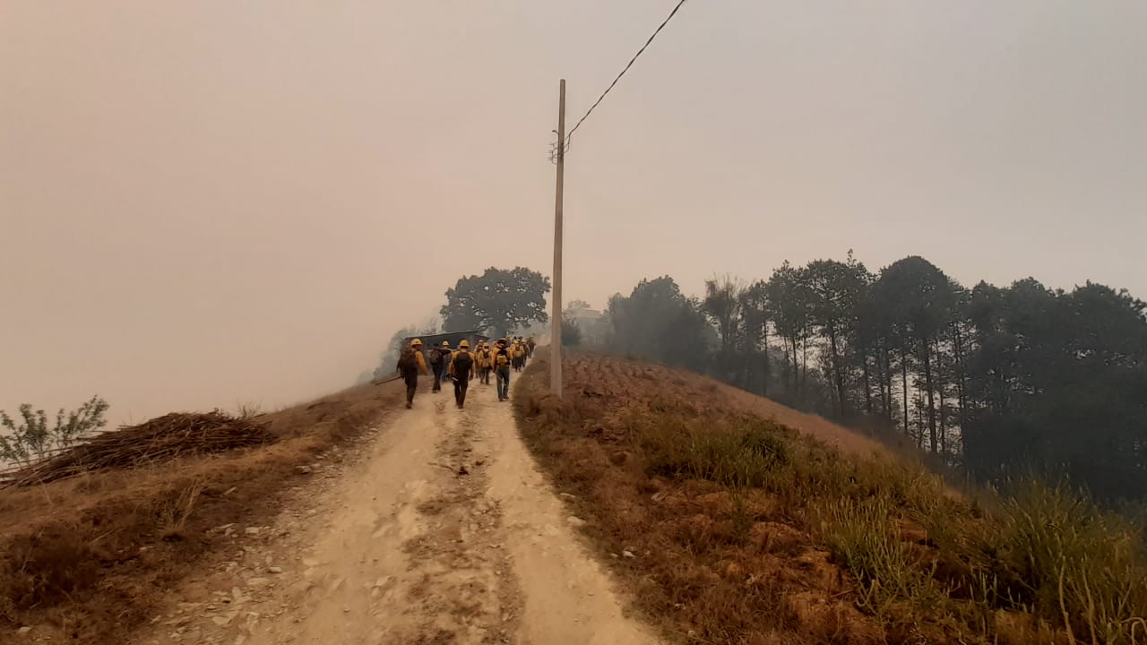 Puebla registra 274 incendios forestales en este 2024: Medio Ambiente