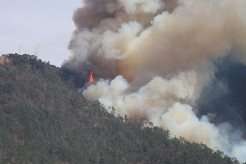 Un nuevo incendio provocado surge en Tetela de Ocampo