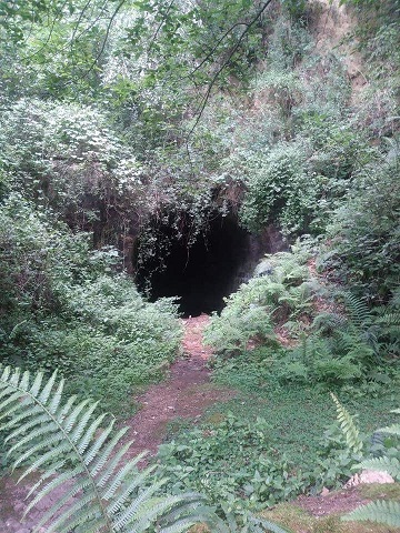 Tras levantón, hallan cuerpos de jóvenes en ladera de Chignautla