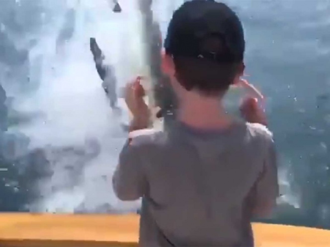 VIDEO Tiburón blanco arrebata pescado a familia en yate