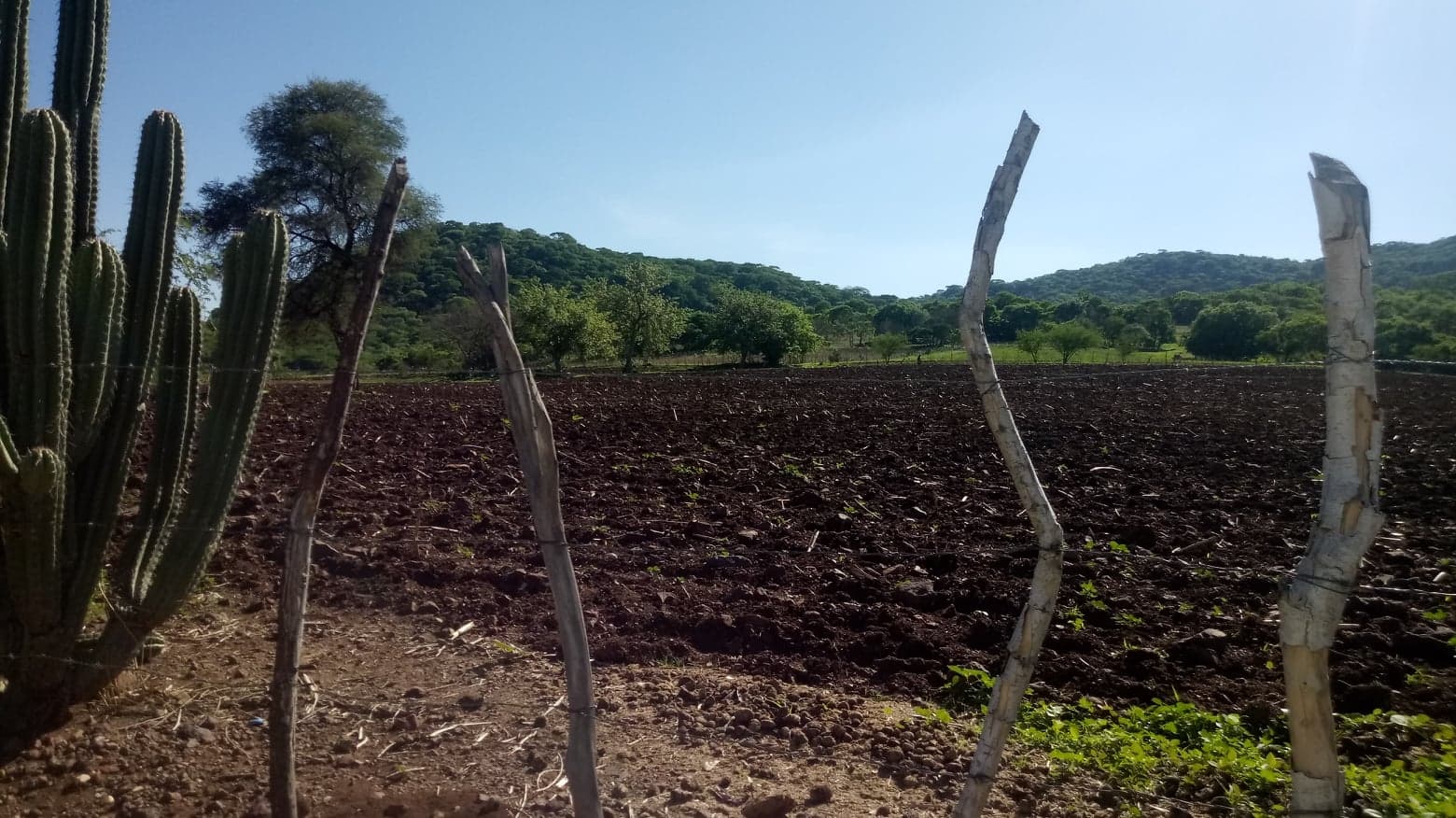 En Tecupilco falta apoyo para productores del campo