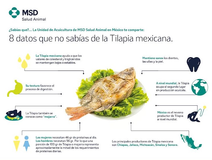 Consume tilapia y cuida tu corazón a cada bocado