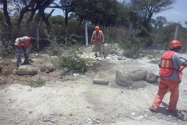 Detectan tiradero clandestino de cerdos y pollos en Tehuacán