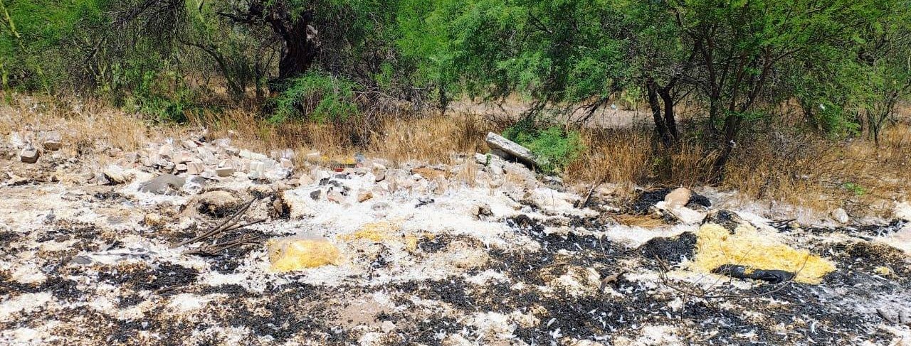 Reportan tiradero clandestino de restos de aves en Coxcatlán