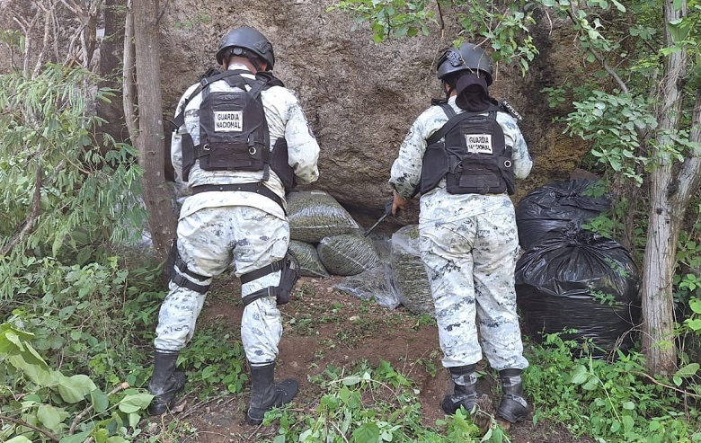 Descubren marihuana oculta en 22 bolsas para basura en Jalisco