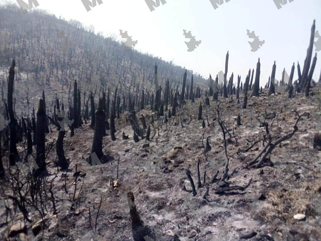 Incendio en Tlacotepec y Juan N. Méndez ha devastado más de 200 hectáreas 