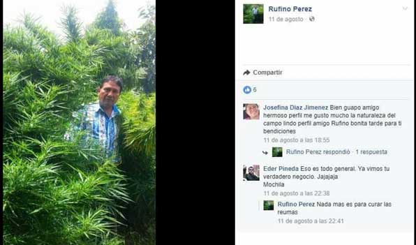 Regidor de Tochimilco presume Plantíos de Marihuana en Facebook