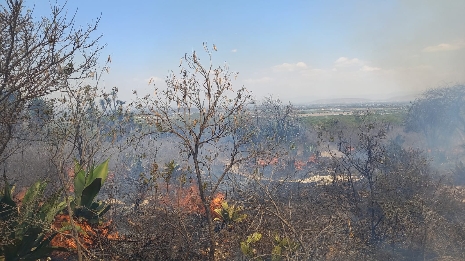 Se registra el primer incendio forestal de la región de Tecamachalco