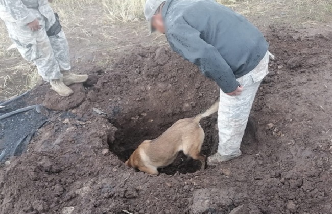 Lomitos descubren tomas clandestinas en Los Reyes de Juárez y Huejotzingo