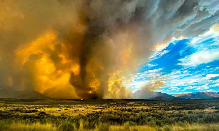 Tornado de fuego arrasa 8 mil hectáreas del norte de California