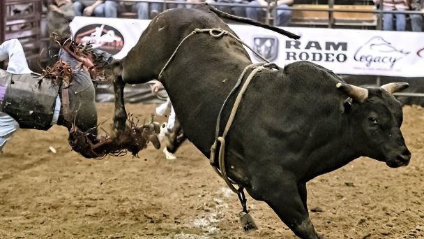 Suspenden jaripeo en Izúcar por altos costos en los permisos  