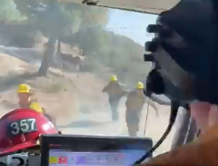 VIDEO Bomberos son perseguidos por un toro cuando sofocaban incendio