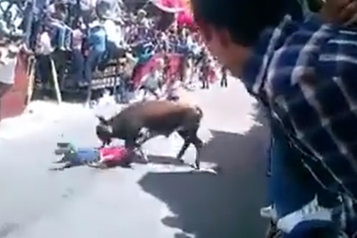 VIDEO Toro arrastra a persona y a paramédicos se le cae el paciente