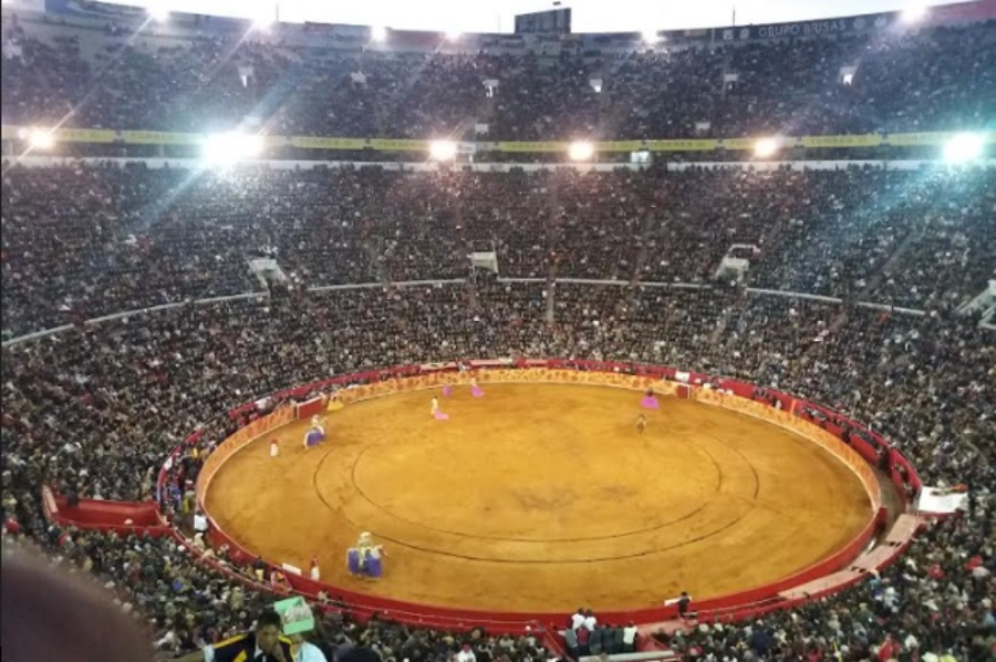 Frenan de nueva cuenta corridas en la plaza de toros México
