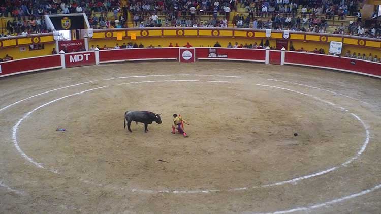 Descartan prohibición de corridas de toros en esta legislatura