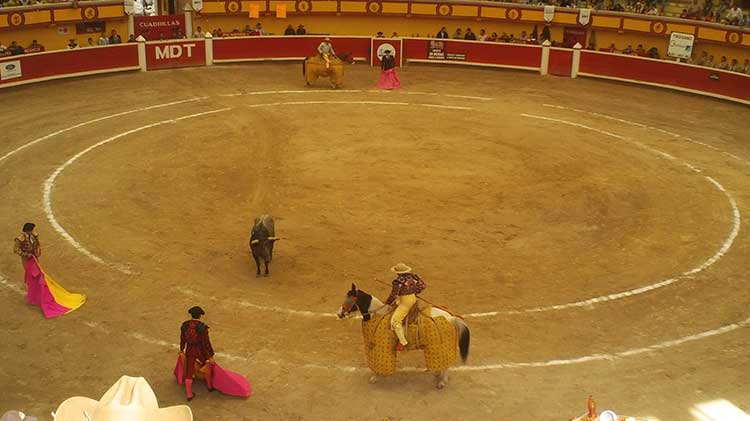 Descartan prohibición de corridas de toros en esta legislatura