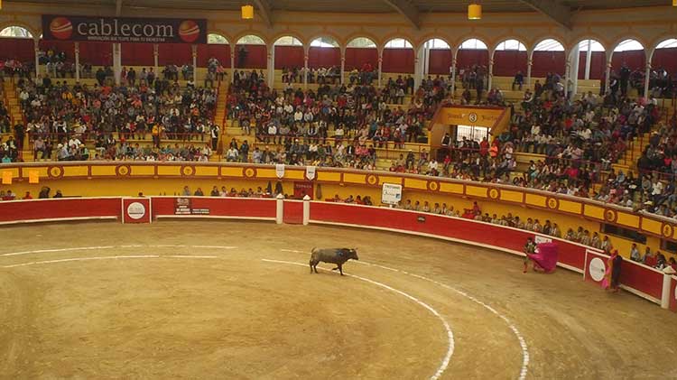 Descartan prohibición de corridas de toros en esta legislatura