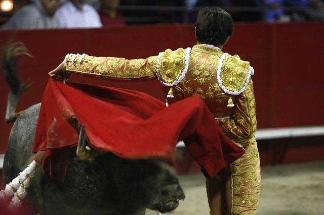 Juez ordena suspender corridas de toros en la Plaza México