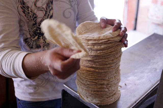 Profeco asegura que no hay justificación para subir el precio de tortilla