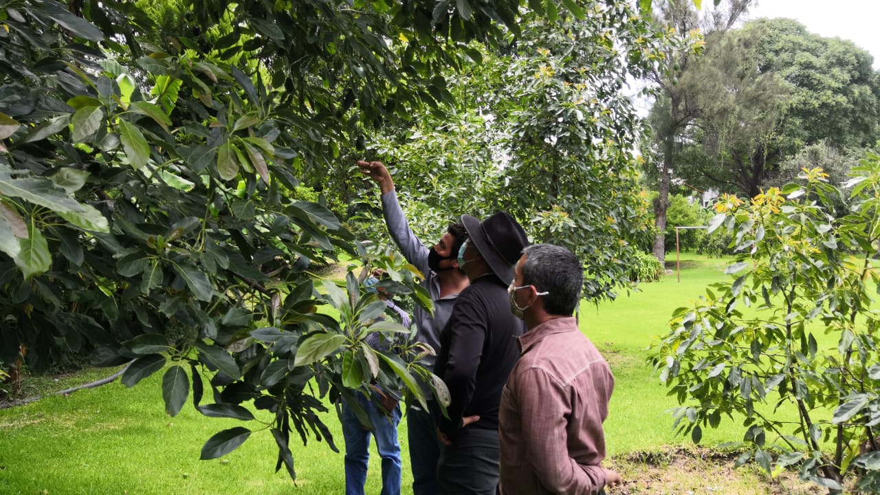Visitan Atlixco representantes de Sectur para conocer proyectos de tour operadores