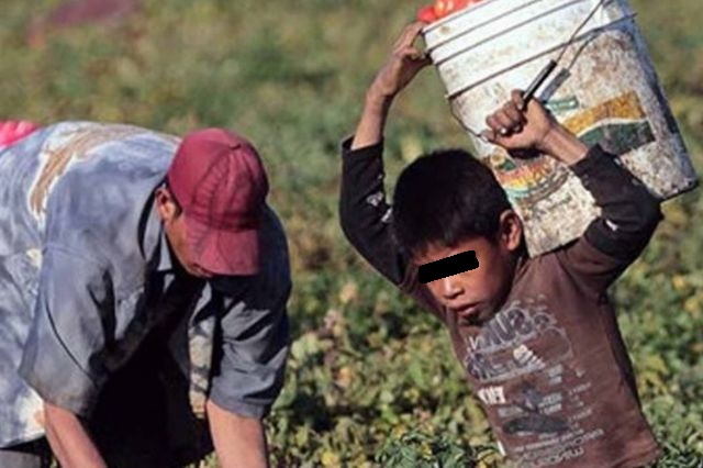 Puebla, entre los estados con más trabajo infantil agrícola, alerta EU