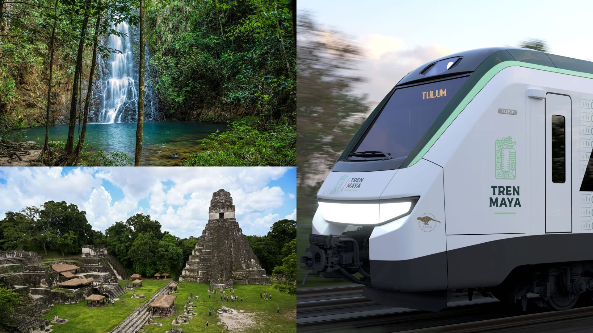 Sheinbaum anuncia ampliación de Tren Maya a selvas de Guatemala y Belice 
