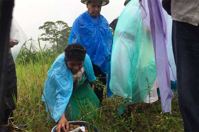 Habitantes de Cuetzalan festejan su triunfo por haber frenado obras de la CFE