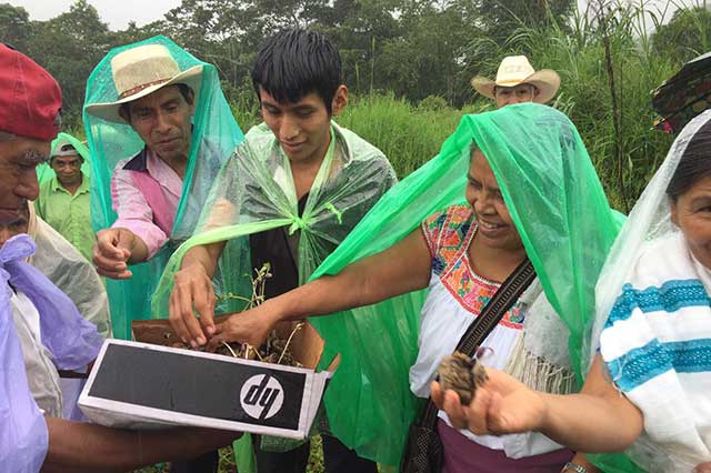 Habitantes de Cuetzalan festejan su triunfo por haber frenado obras de la CFE