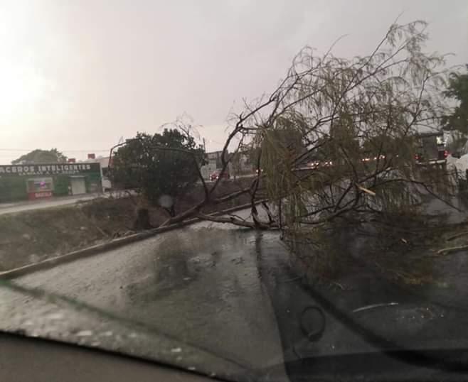 Tromba causa afectaciones en Tehuacán