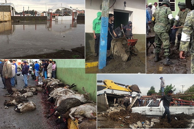 Activa Salud cerco sanitario en Esperanza por inundaciones