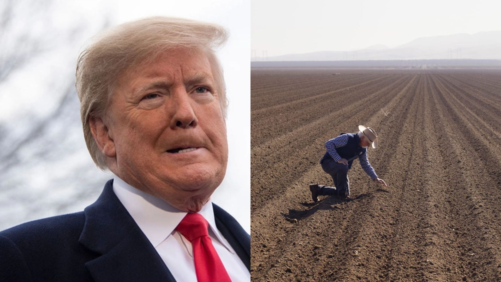 Por caída del sector agrario en EU, Trump plantea regreso de migrantes 