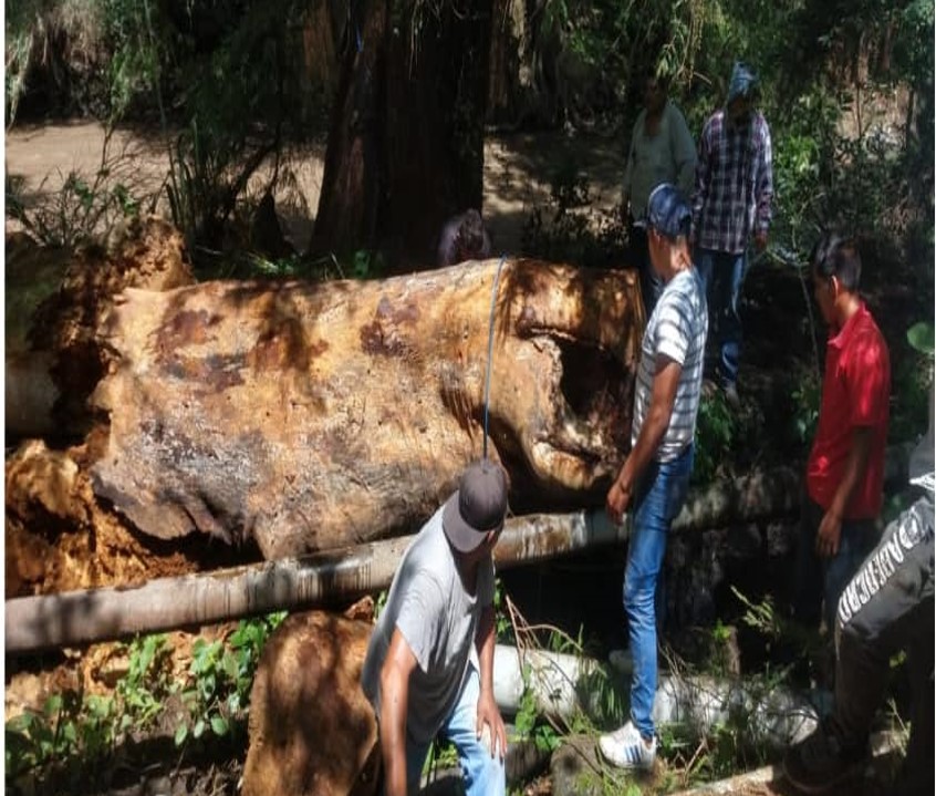 Lluvias dejan sin agua potable a pobladores de Chietla  