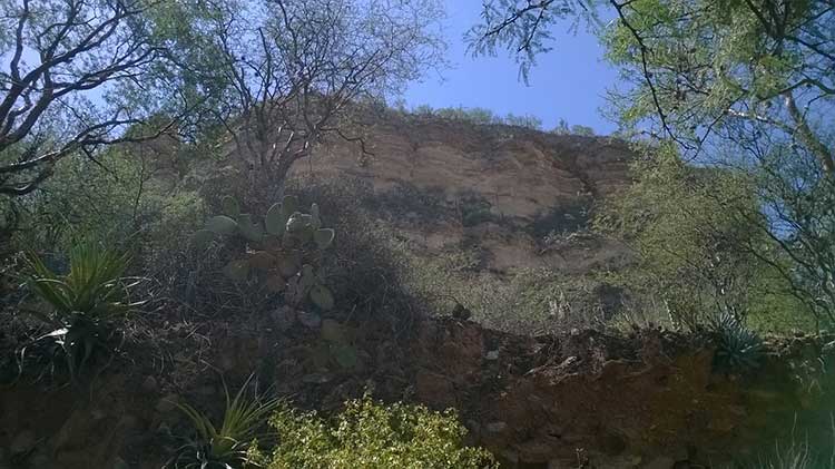 Plantea Unesco reconocer a la Biósfera de Tehuacán como Patrimonio Mixto