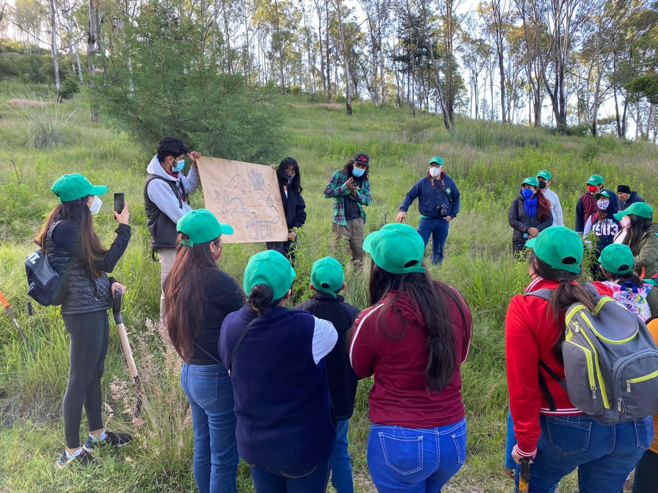 Reforestan el Cerro de Amalucan 