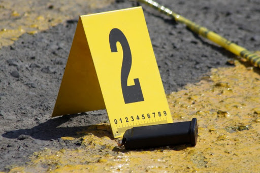 Propone morenista exonerar a quienes maten en legítima defensa