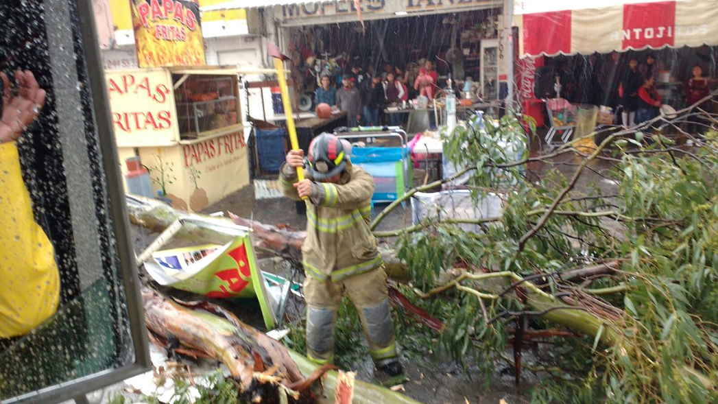 Beatriz inunda calles y tira árboles en la ciudad de Puebla