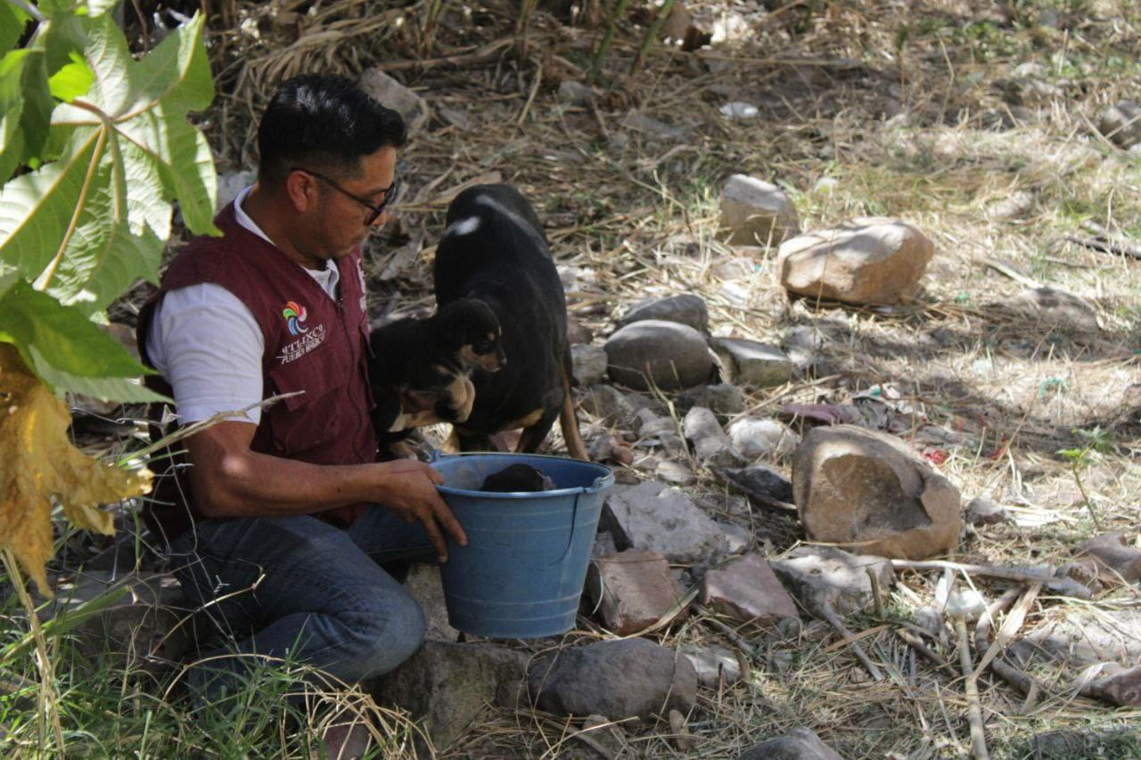 Rescatan en Atlixco a cachorros abandonados en una barranca