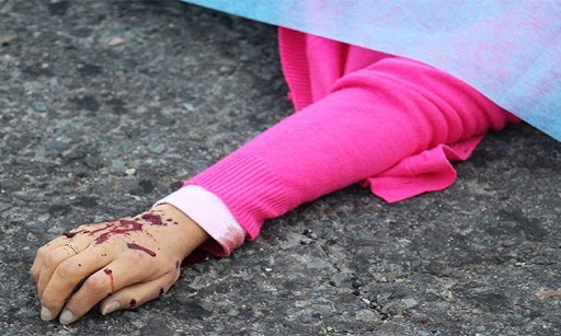 Nadia salió a las calles para pedir alto a los feminicidios, y la mataron