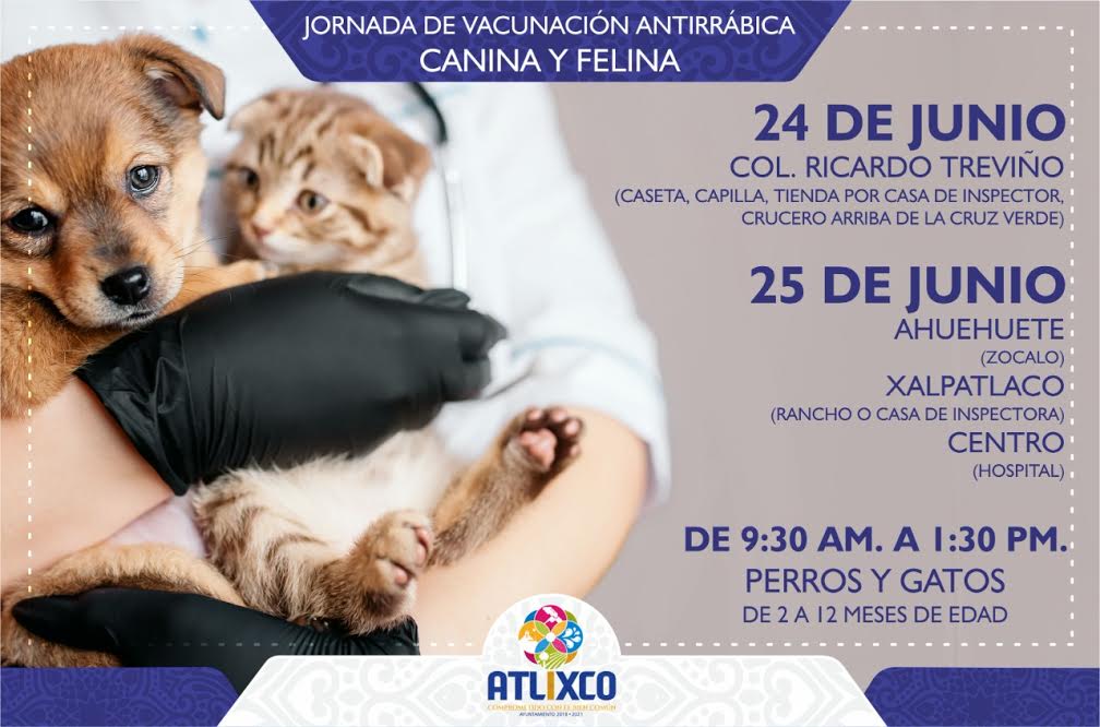 Sigue Jornada de Vacunación Antirrábica Canina y Felina en Atlixco