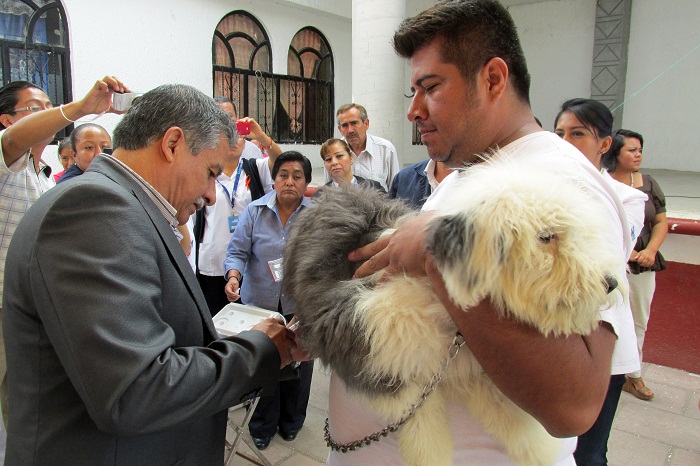 Para prevenir casos de rabia, en Izúcar vacunarán a 5 mil mascotas