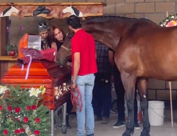 Caballos de Elena Larrea la despiden en Cuacolandia