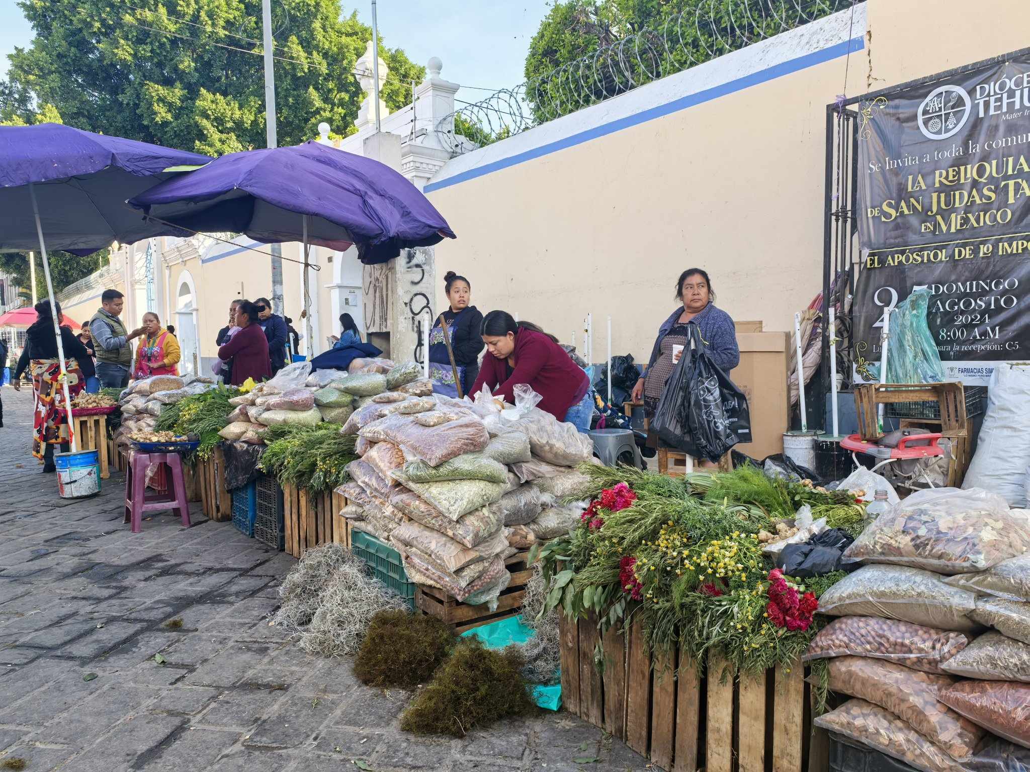 Vecinos y comerciantes aledaños al mercado 16 de Marzo exigen el retiro de vendedoras de hierbas