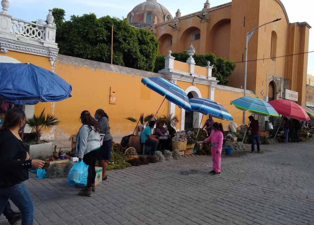 Pese a prohibición en Tehuacán comercializan especies endémicas por Navidad 