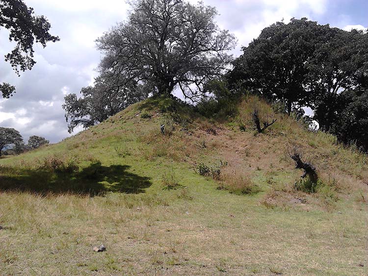 Encuentran posibles vestigios olmecas en zona arqueológica de Tlalancaleca