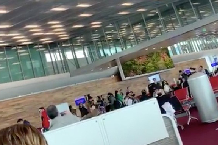 VIDEO Sorprenden mexicanos varados en Paris cantando el cielito lindo