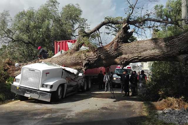 Viento tira techos, árboles y deja heridos en el estado de Puebla