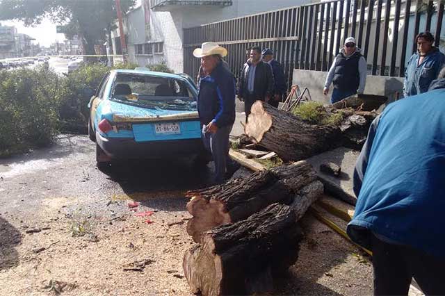 Viento tira techos, árboles y deja heridos en el estado de Puebla