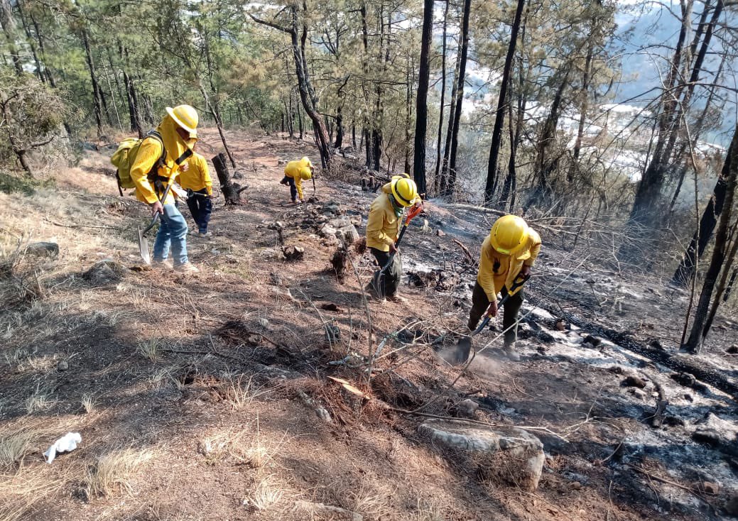 Vinculan a proceso a presunto responsable de incendio forestal en Aquixtla