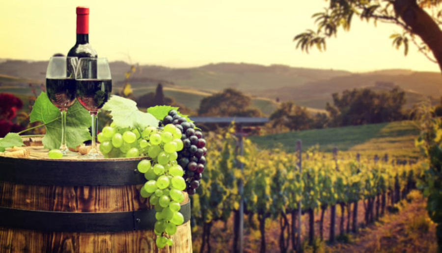 El tinto, la brega y el edén